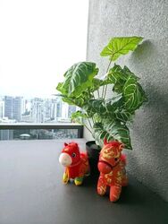 The Landmark (D3), Condominium #550417881